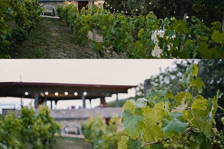 S&S Winery - Wine Tasting Experience in Ohrid