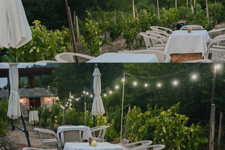 S&S Winery - Wine Tasting Experience in Ohrid