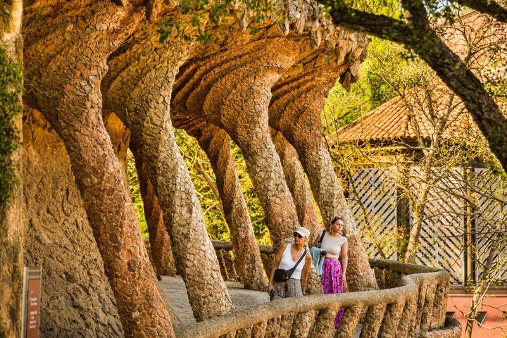 Park Guell Skip-the-Line Guided Tour in Barcelona