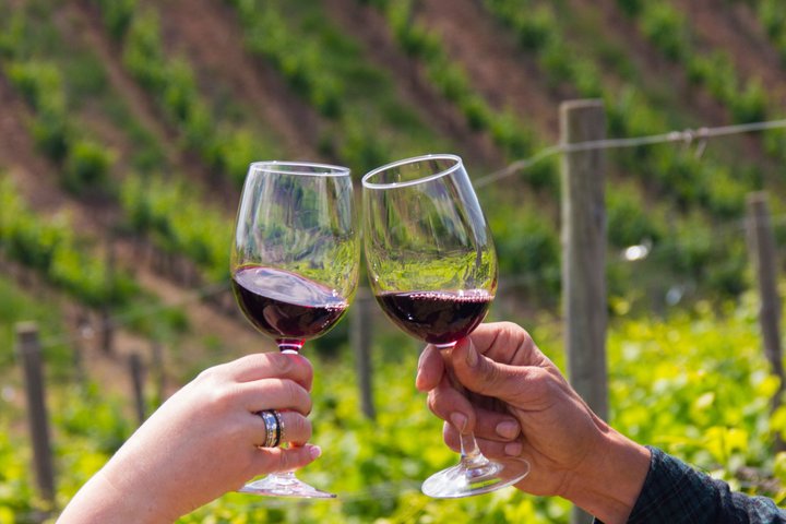 Albufeira Wine Tasting: Boutique Winery Tour & Historic Silves