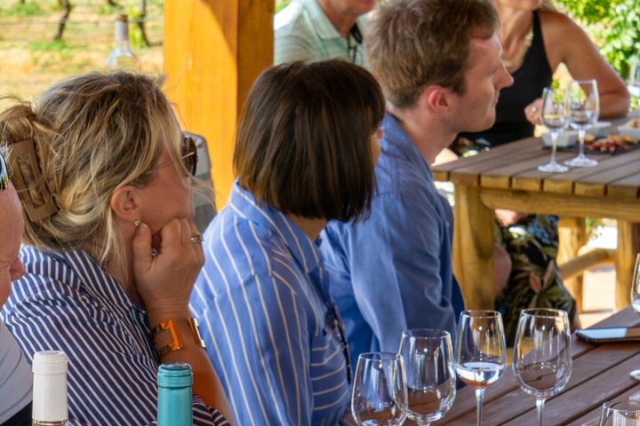 Albufeira Wine Tasting: Boutique Winery Tour & Historic Silves