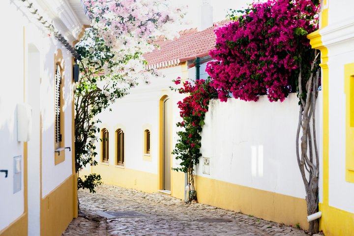 Albufeira Wine Tasting: Boutique Winery Tour & Historic Silves
