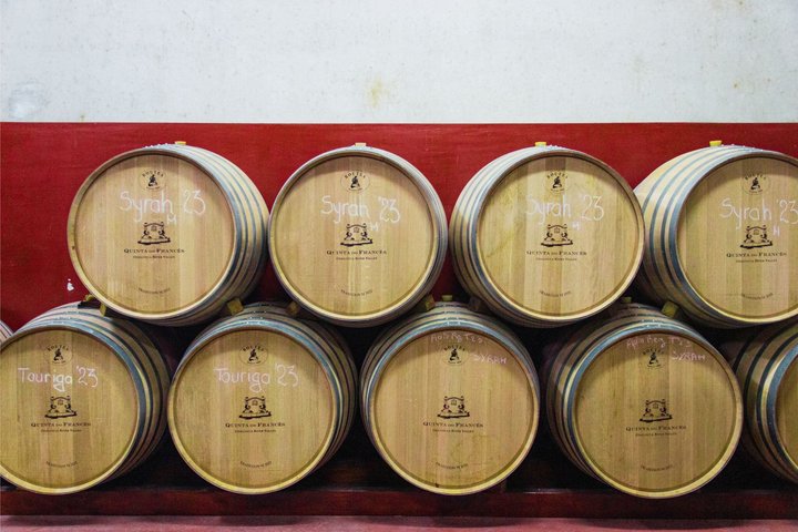 Albufeira Wine Tasting: Boutique Winery Tour & Historic Silves