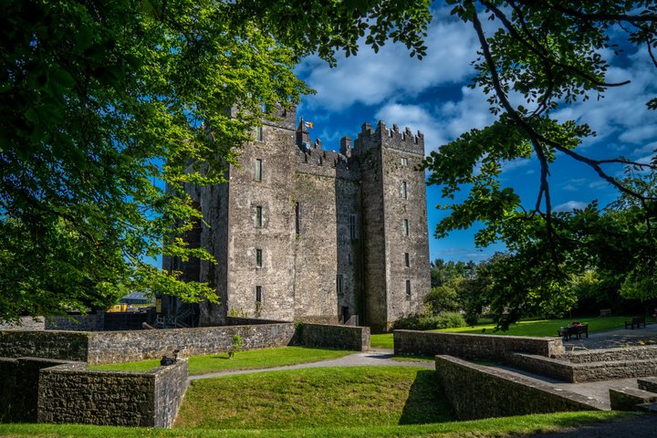 Bunratty Castle and Folk Park Admission Ticket