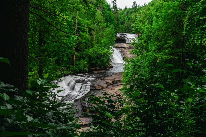 Blue Ridge Parkway and Waterfall Hiking Tour from Asheville