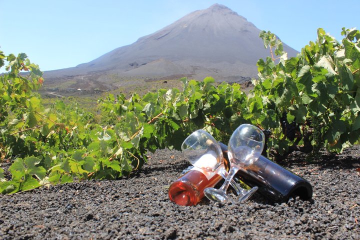 Tasting between Vineyards and Lava