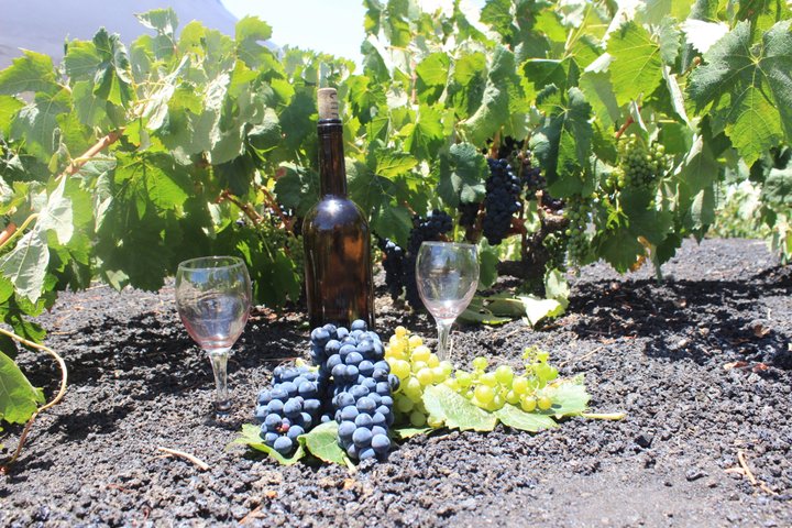 Tasting between Vineyards and Lava