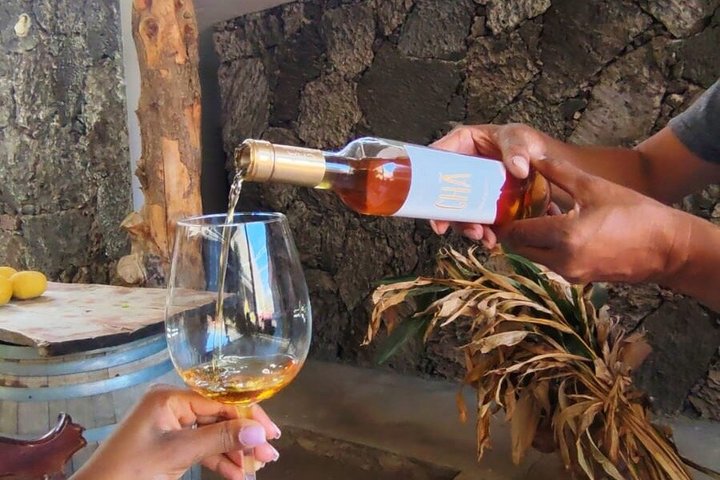 Tasting between Vineyards and Lava