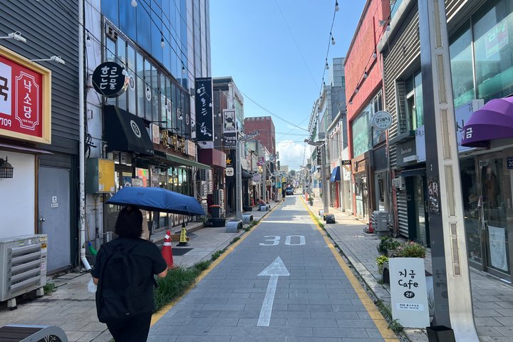 Incheon Cruise Shore Excursion Hidden Gems and Premium K BBQ