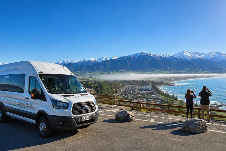 Kaikoura Swim with Dolphins Tour from Christchurch