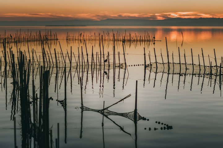 Albufera Natural Park Tour from Valencia: Boat Ride & Local Guide
