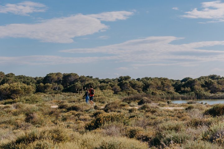 Albufera Natural Park Tour from Valencia: Boat Ride & Local Guide