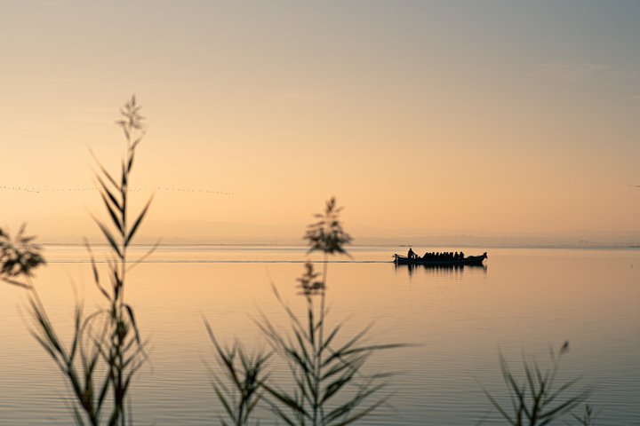 Albufera Natural Park Tour from Valencia: Boat Ride & Local Guide