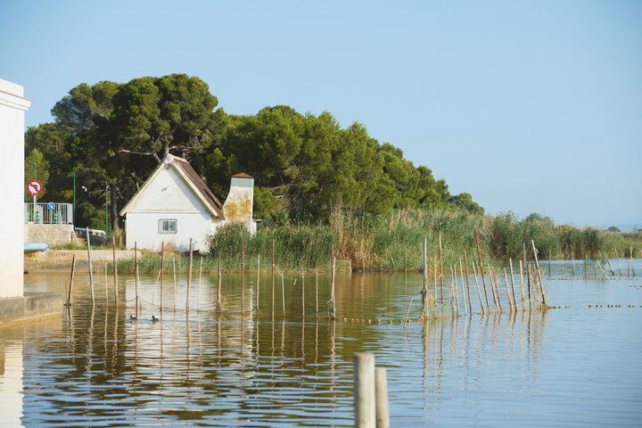 Albufera Natural Park Tour from Valencia: Boat Ride & Local Guide