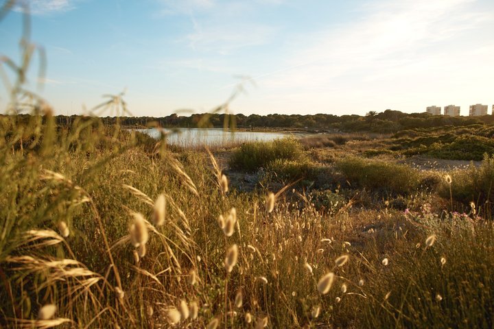 Albufera Natural Park Tour from Valencia: Boat Ride & Local Guide
