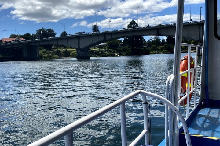 Valdivia Rivers & Punucapa Navigation Tour