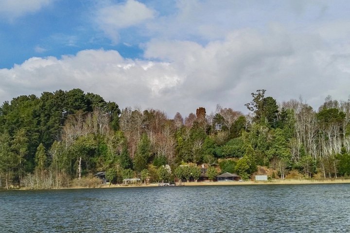Valdivia Rivers & Punucapa Navigation Tour