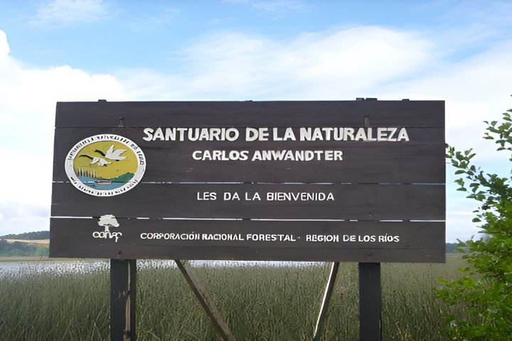 Valdivia Rivers & Punucapa Navigation Tour