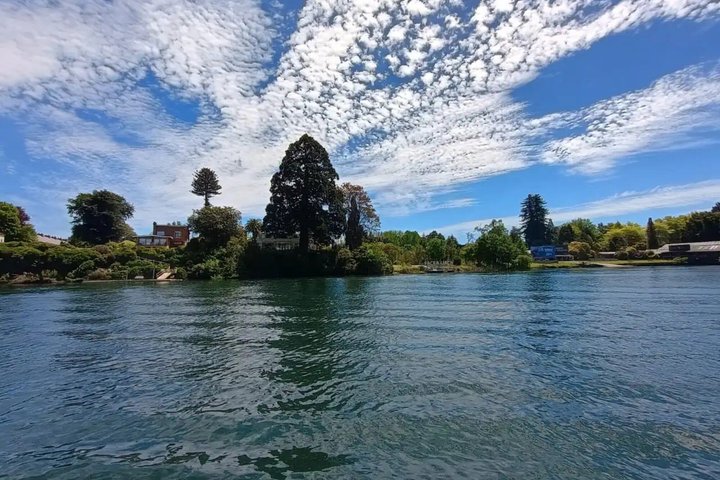 Valdivia Rivers & Punucapa Navigation Tour