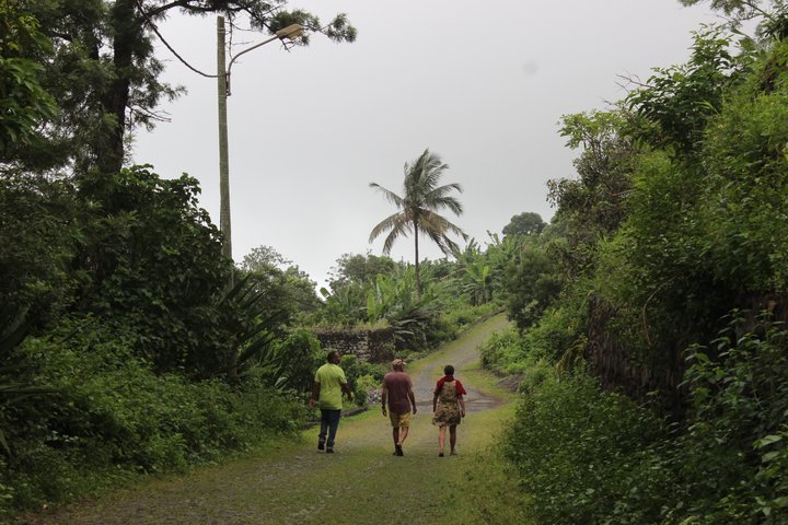 Full day tour of the island with lunch in Mosteiros