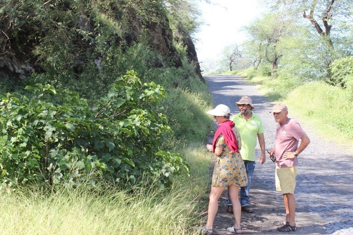 Full day tour of the island with lunch in Mosteiros