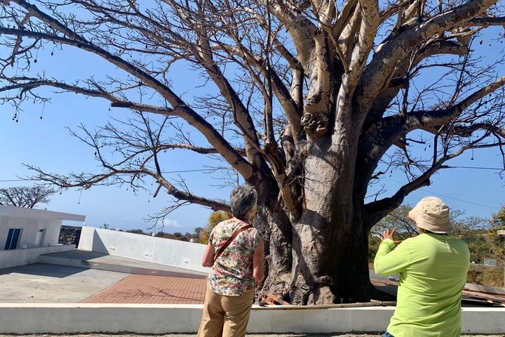 Full day tour of the island with lunch in Mosteiros