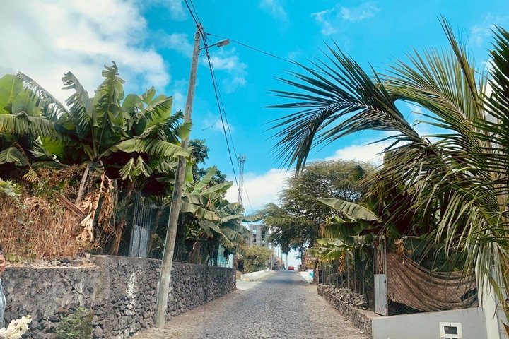 Full day tour of the island with lunch in Mosteiros