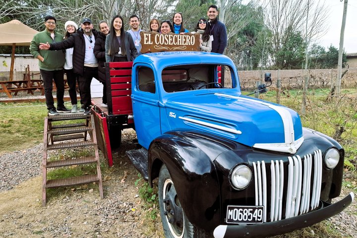 Excursión de 3 bodegas y 1 olivícola con degustación