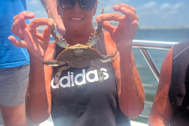 BIG FUN Dolphin Cruise & Sealife Experiece ORANGE BEACH ALABAMA