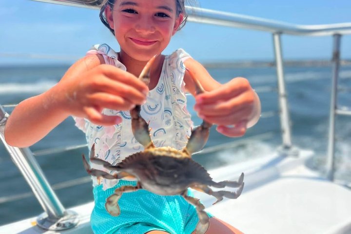 BIG FUN Dolphin Cruise & Sealife Experiece ORANGE BEACH ALABAMA