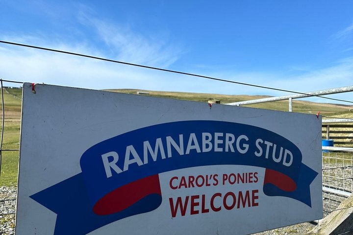 Ponies Express Private Tour to Scalloway