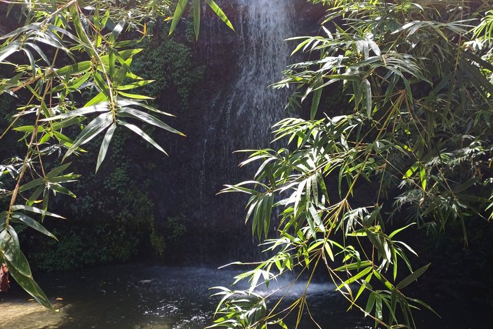 Tour to discover the lush North and waterfalls