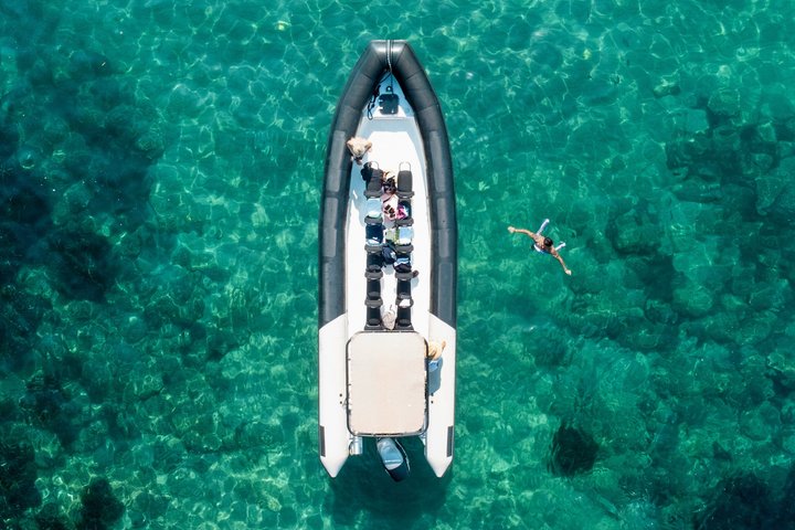 Depart Saint Raphaël: Meet the Dolphins