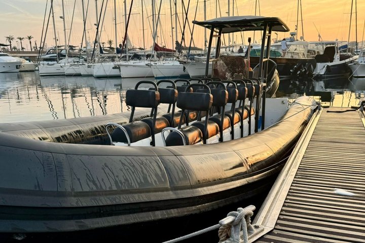 Depart Saint Raphaël: Meet the Dolphins