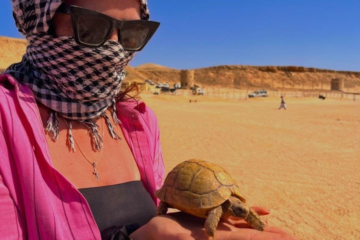 Marsa Alam Sunset Quad Safari with Camel Ride, BBQ Dinner
