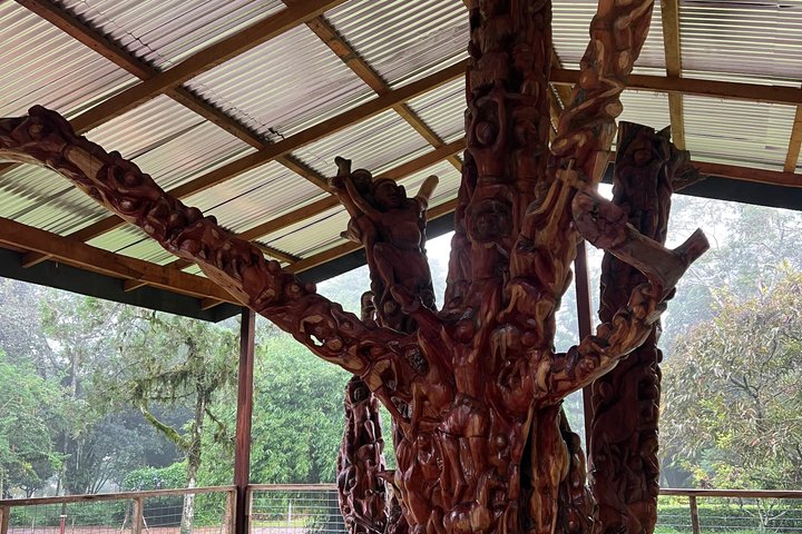 Aburi Gardens,First Ever Cocoa Farm & Waterfalls Day Adventure