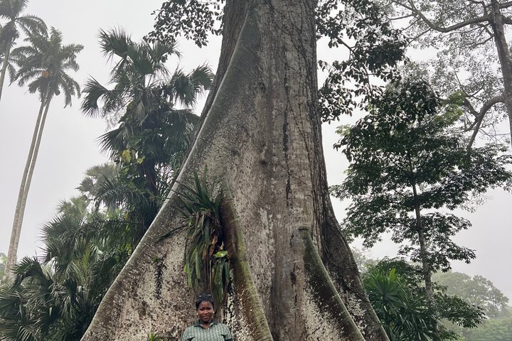Aburi Gardens,First Ever Cocoa Farm & Waterfalls Day Adventure