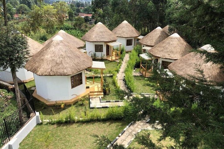 3 Day Gorilla Trekking in Mgahinga Start and End in Rwanda