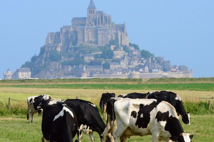 Mont Saint-Michel | with Local Guide & Tickets | From Cherbourg