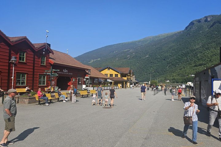 Oslo To Sognefjord Private Full Day Roundtrip Including Flam Railway