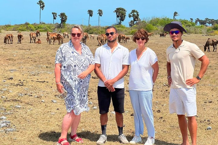 Full Day Tour Delft and Nainativu Island Adventure from Jaffna