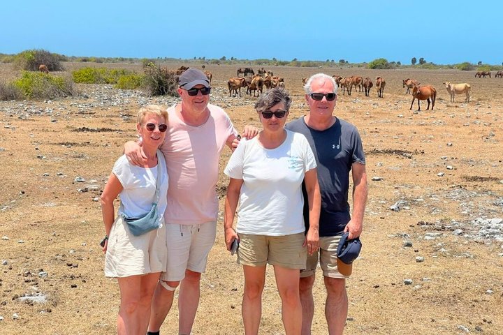 Full Day Tour Delft and Nainativu Island Adventure from Jaffna