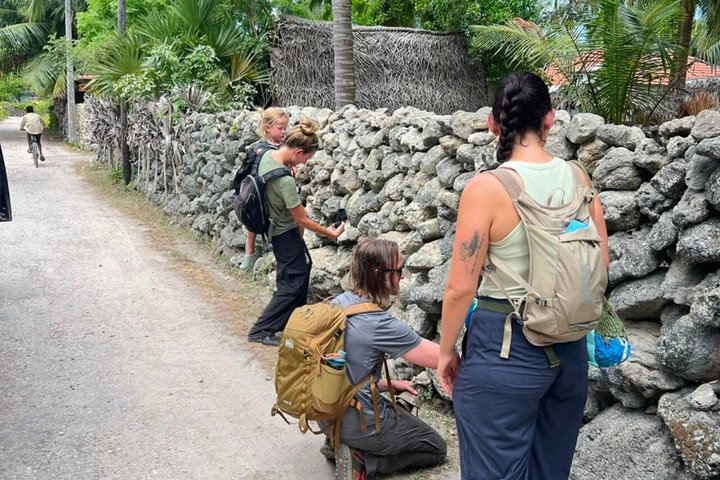 Full Day Tour Delft and Nainativu Island Adventure from Jaffna