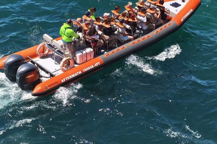 Boat trip to the caves of Benagil