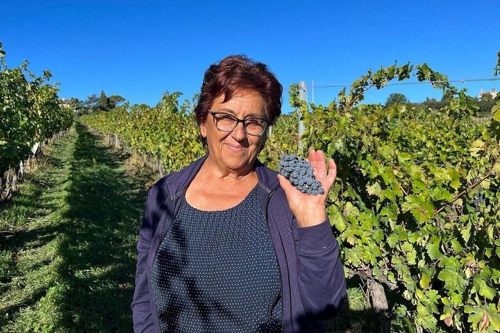 Discover Italian Wines at Tenuta La Viola