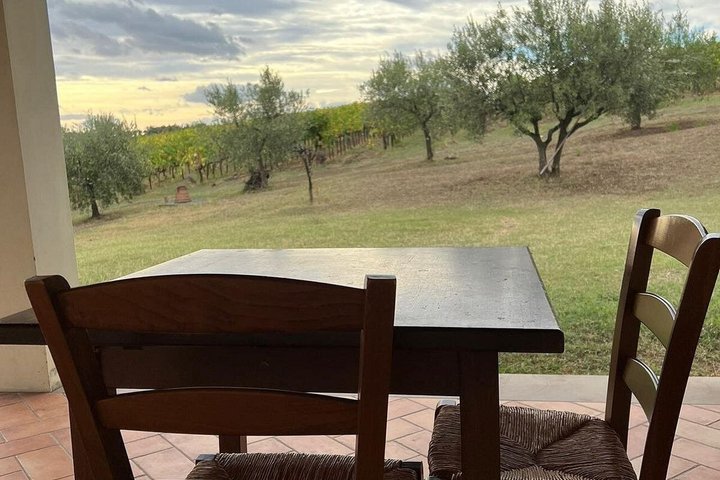 Discover Italian Wines at Tenuta La Viola