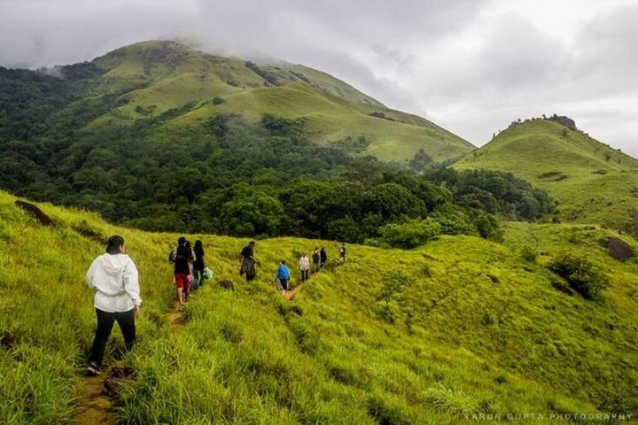 Thekkady Jeep safari and National Park Tour with Tea Tasting