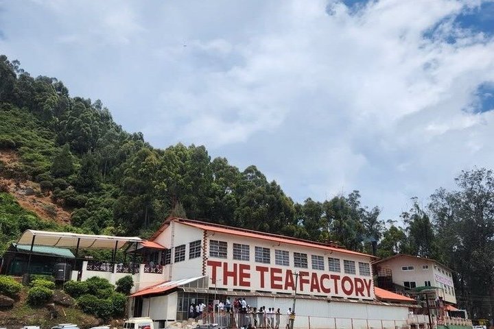 Thekkady Jeep safari and National Park Tour with Tea Tasting