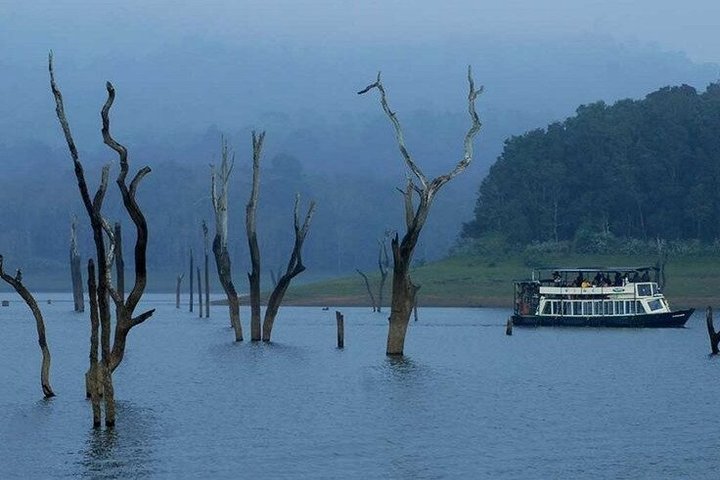 Thekkady Jeep safari and National Park Tour with Tea Tasting
