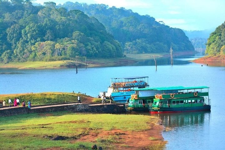 Thekkady Jeep safari and National Park Tour with Tea Tasting